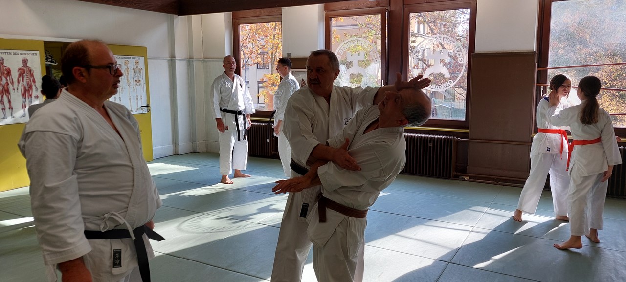 Goju Ryu Lehrgang im Dojo Yuishinkan Offenbach