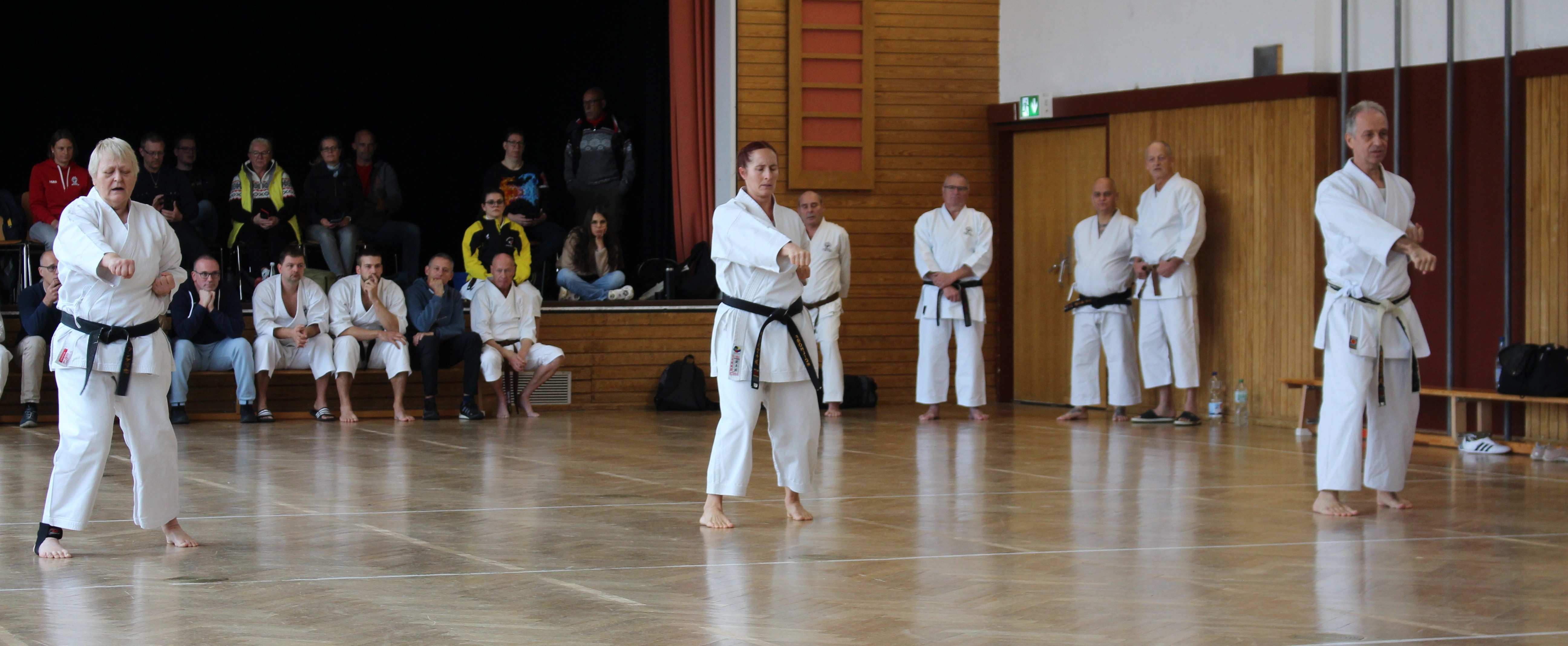 Goju Ryu Dan-Prüfung am 09.11.24 in Hardthausen