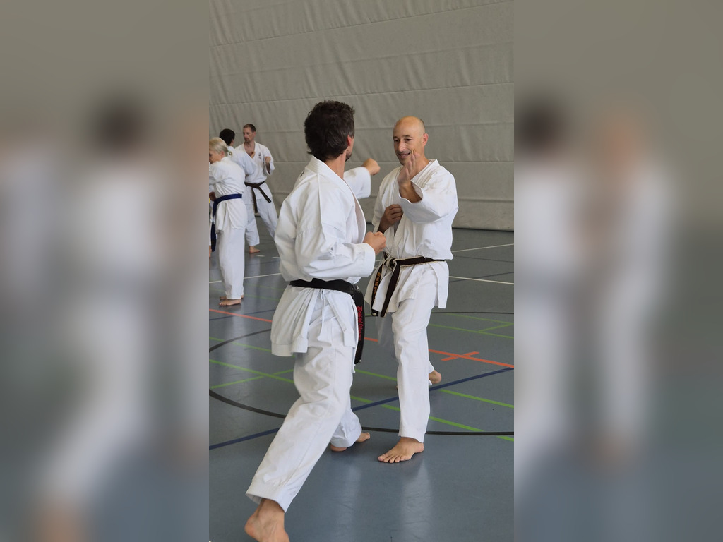 Goju-Ryu-Festtag in Neckarsulm