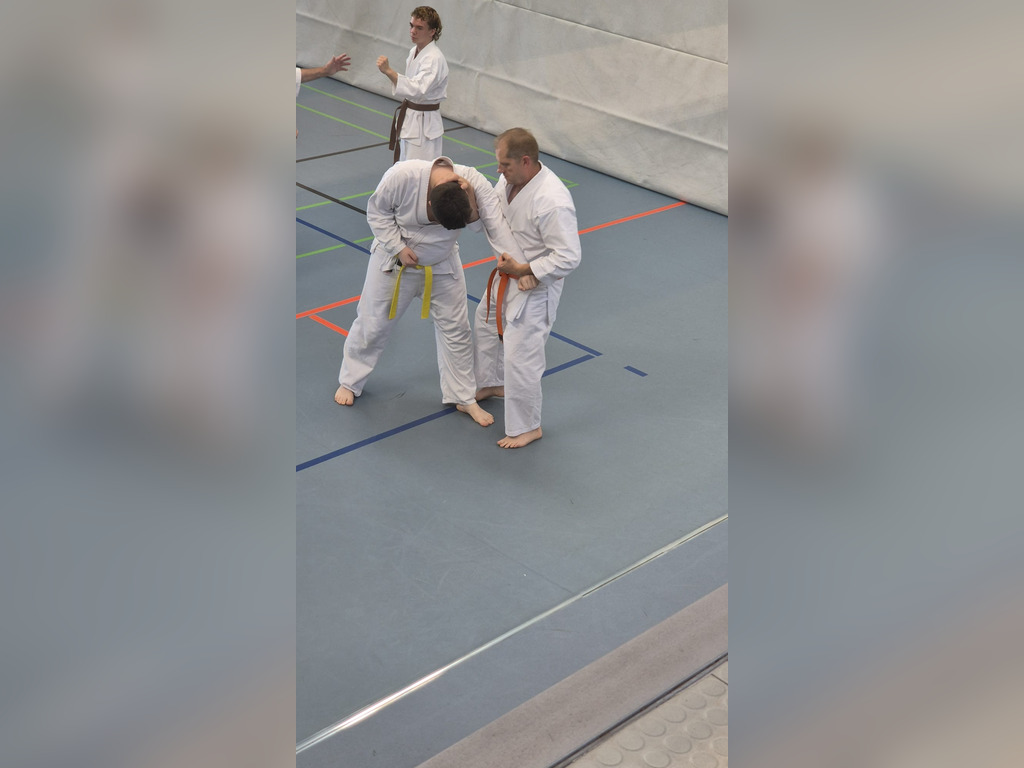 Goju-Ryu-Festtag in Neckarsulm
