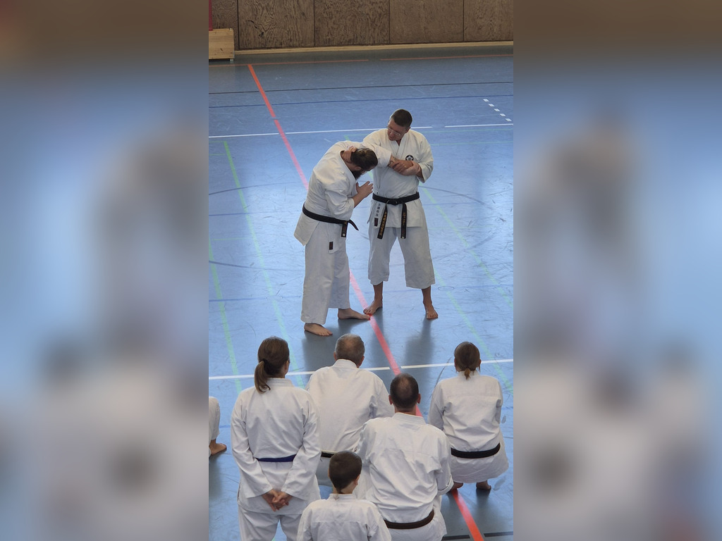 Goju-Ryu-Festtag in Neckarsulm