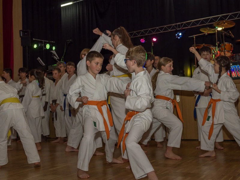 50-Jahre-Jubiläumsfeier beim Karateverein Eppingen